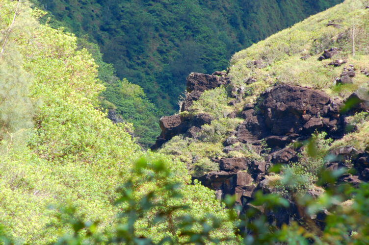 Send your best photos from Maui County to mauiphotos@mauinews.com for a chance to see them featured on our website and in our weekly print edition.